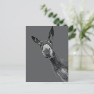 Postal Arte de retrato en escala de grises de burro diver