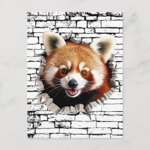 Postal Arte de ruptura de pared de panda rojo 3D – Safari
