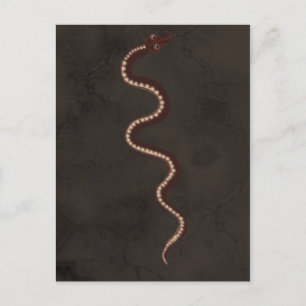 Postal Arte de serpiente del desierto aborigen australian