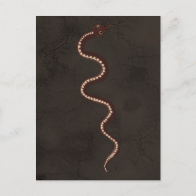 Postal Arte de serpiente del desierto aborigen australian (Anverso)