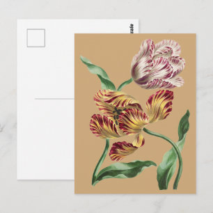 Postal Arte de Tulipán Botánico del Siglo XVIII Chic Vint