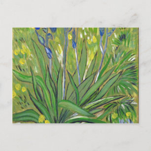 Postal arte de Van Gogh  Iris, reproducción acrílica