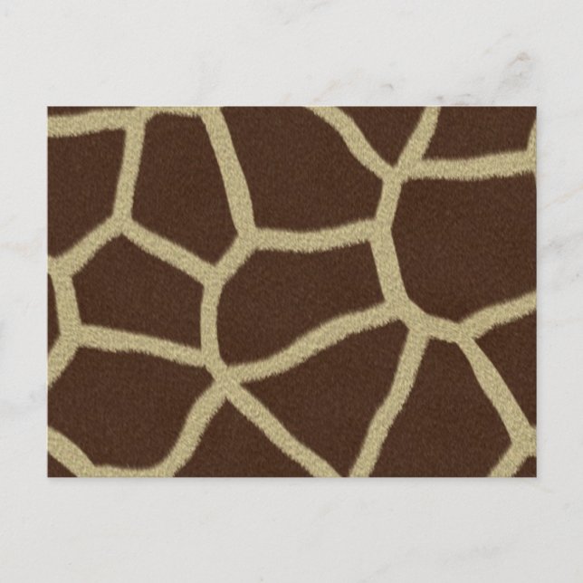 Postal Arte de vida salvaje (Anverso)