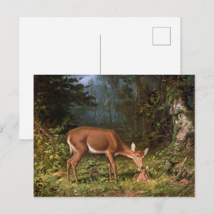Postal Arte de vida silvestre de cierva y cervatillo de b