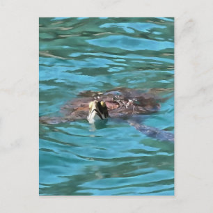 Postal Arte de vida silvestre de la tortuga marina Logger