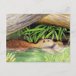 Postal Arte de vida silvestre flotante de Otters