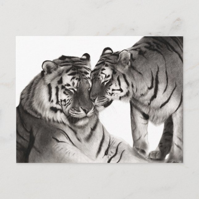 Postal Arte de vida silvestre pintado a mano por tigres (Anverso)