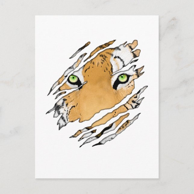 Postal Arte de vida silvestre Tiger Face (Anverso)