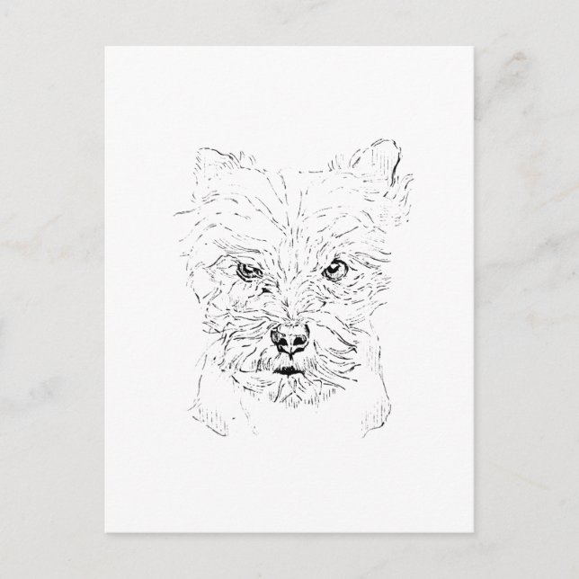 Postal Arte de Yorkshire Terrier, Dibujo de Línea Minimal (Anverso)