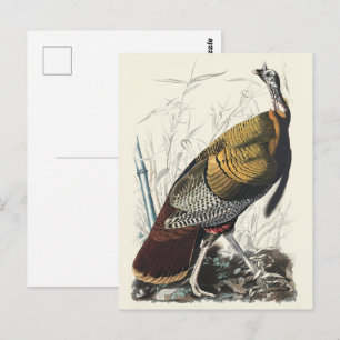 Postal Arte decorativo de Acción de Gracias pavo silvestr