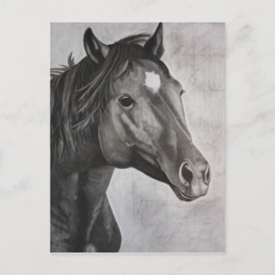 Postal Arte dibujado a mano de caballo