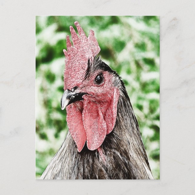 Postal Arte digital de Blue Rooster (Anverso)