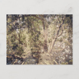 Postal Arte digital de capas de árbol