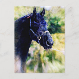 Postal Arte digital del caballo negro
