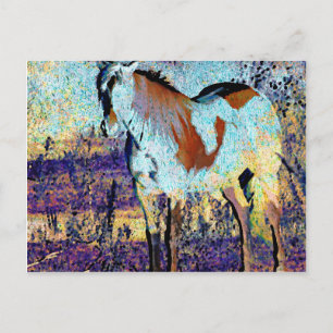 Postal Arte digital Pinto Horse