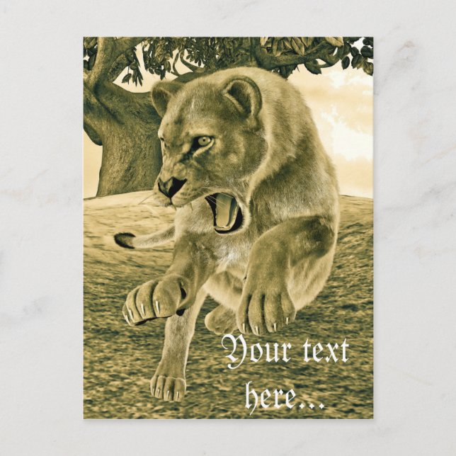 Postal Arte dramático de safari de fauna con leona (Anverso)