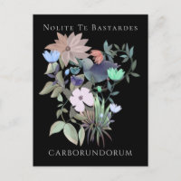 Arte feminista Nolite Te Bastardes Carborundorum
