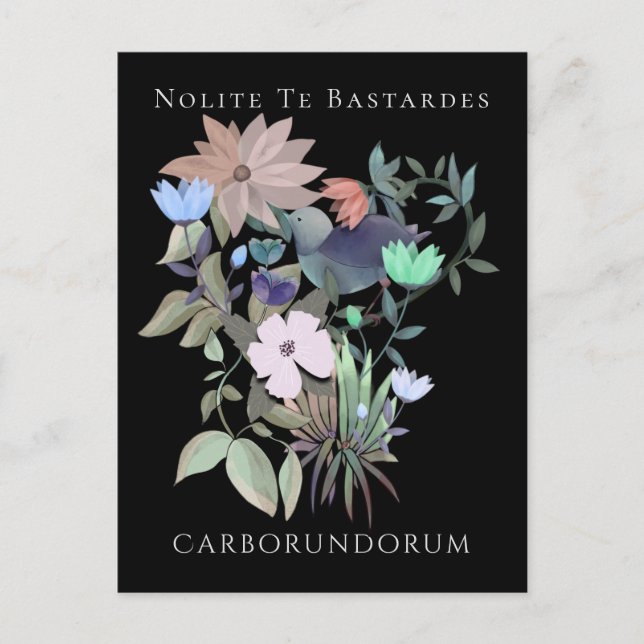 Postal Arte feminista Nolite Te Bastardes Carborundorum (Anverso)