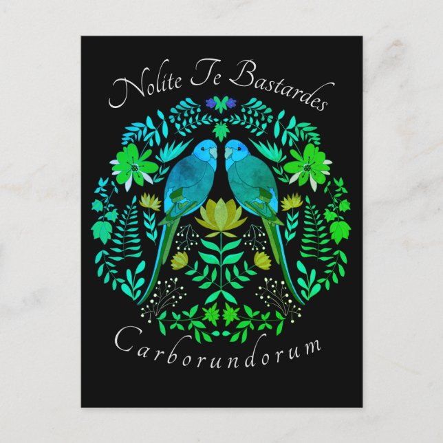 Postal Arte feminista Nolite Te Bastardes Carborundorum (Anverso)