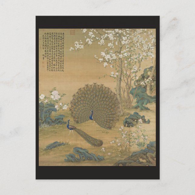 Postal Arte fino de jardín de pavo real Chinoiserie vinta (Anverso)