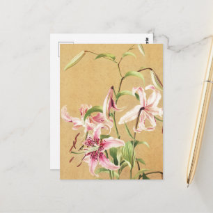 Postal Arte Floral Botánico de Lirio Oriental Rosa Vintag