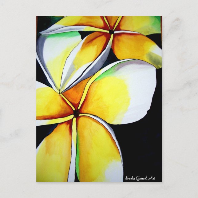 Postal Arte floral de Frangipani (Anverso)