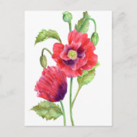 Arte floral de Red Poppies