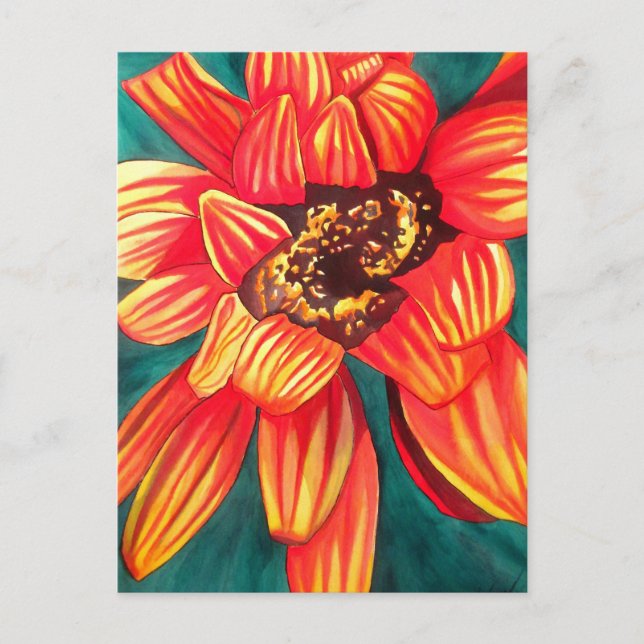 Postal Arte floral del desierto de Gazania por Sacha Gros (Anverso)