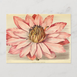 Postal Arte floral francés vintage rosa