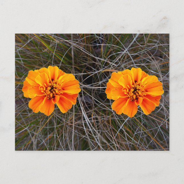 Postal arte floral naranja (Anverso)