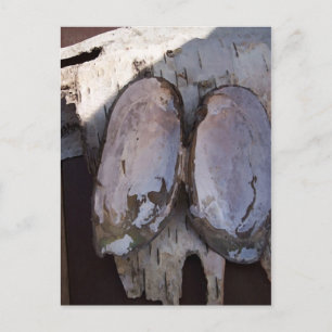 Postal Arte fotográfico Clamshell Angel Birchbark