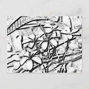 Postal Arte Frangipani con lápiz