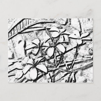Postal Arte Frangipani con lápiz