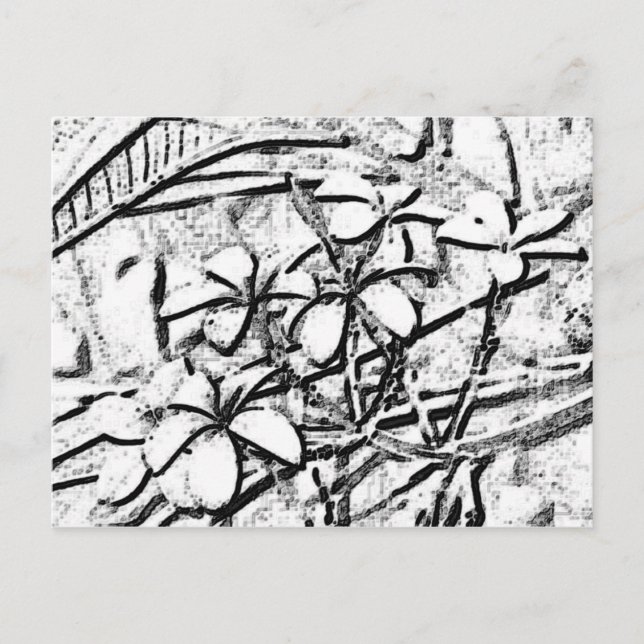 Postal Arte Frangipani con lápiz (Anverso)