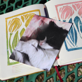 Postal Arte gato de Tuxedo Cuidada Nariz rosa Gato Gatos