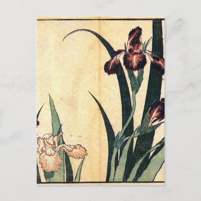 Postal Arte Hokusai pintando flores Iris (Anverso)
