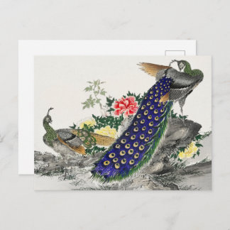 Postal Arte japonés, pavo real y peonía por Numata Kashu