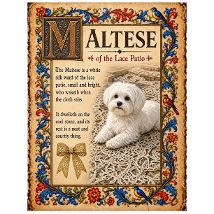 Postal Arte Maltés del Bestiario Medieval