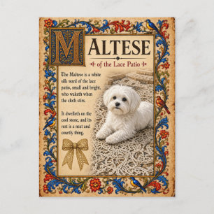 Postal Arte Maltés del Bestiario Medieval