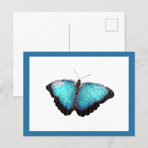 Postal Arte natural de mariposa azul, Ilustracion de foto
