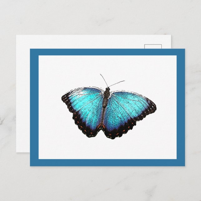 Postal Arte natural de mariposa azul, Ilustracion de foto (Anverso / Reverso)