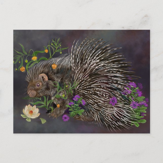 Postal Arte natural de Porcupine Bouquet en reposo (Anverso)