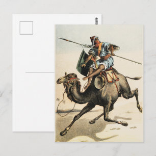 Postal Arte naturalista vintage de camello del desierto c