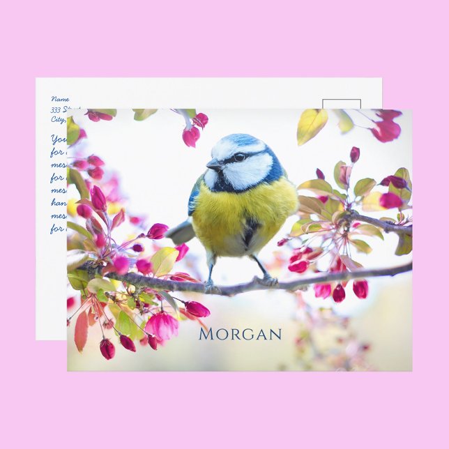 Postal Arte, nombre, mensaje del tren de vapor ventilado  (Subido por el creador)