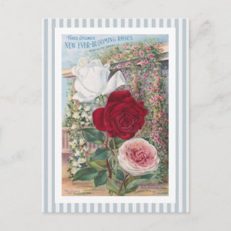 Postal Arte Nunca-Floreciente del vintage de los rosas