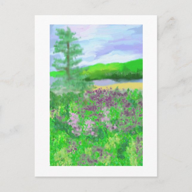 Postal Arte paisajístico de Terranova (Anverso)