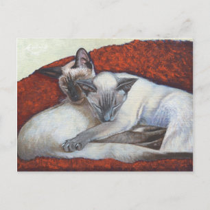 Postal Arte para gatos siameses durmiendo