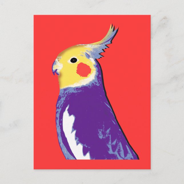 Postal Arte pop de Cockatiel (Anverso)