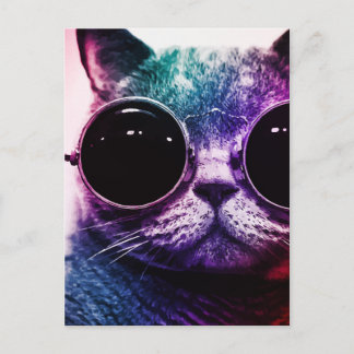 Postal Arte pop de gato hipster