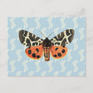 Postal Arte pop de Ilustracion de moscas vintage